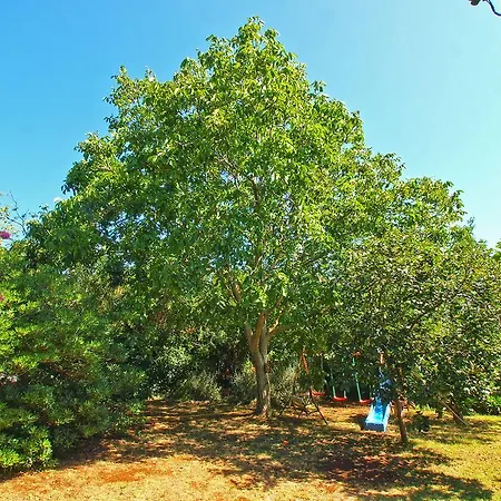 Vlasta 1410 * Премантура